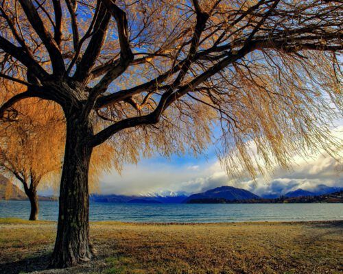 wanaka-new-zealand-63